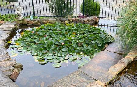 Waterfall-feature